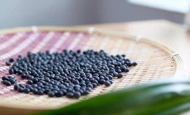 Công dụng chữa bệnh của đậu tương đen - Ảnh 1.