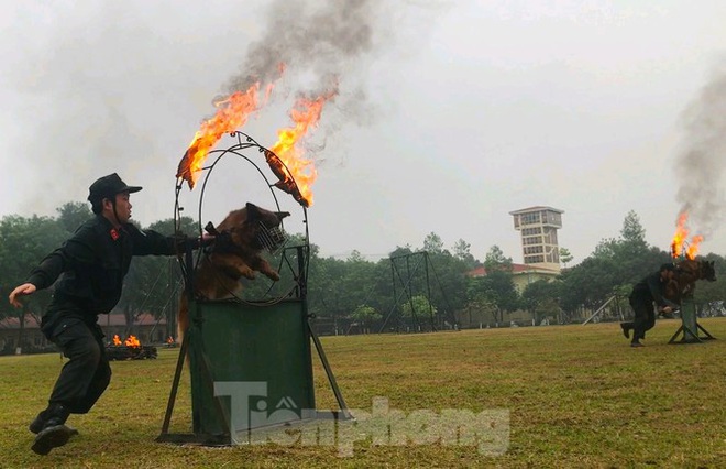Những ‘chiến binh’ đặc biệt trong lực lượng Công an - Ảnh 6.