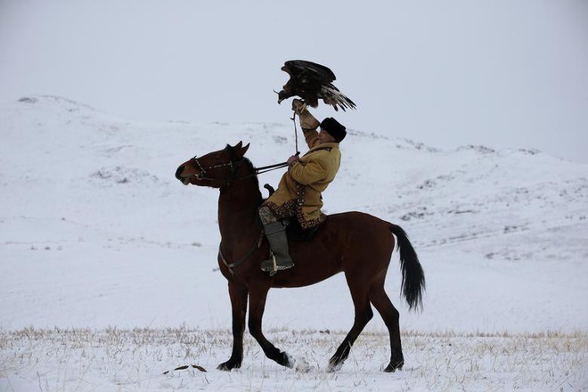 Những chú đại bàng vàng dũng mãnh bên cạnh thợ săn Kazakhstan - Ảnh 3.