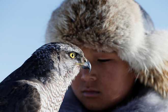 Những chú đại bàng vàng dũng mãnh bên cạnh thợ săn Kazakhstan - Ảnh 6.