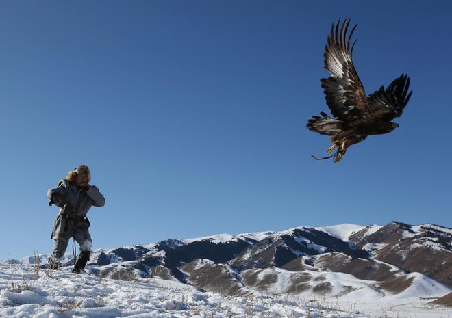 Những chú đại bàng vàng dũng mãnh bên cạnh thợ săn Kazakhstan - Ảnh 7.