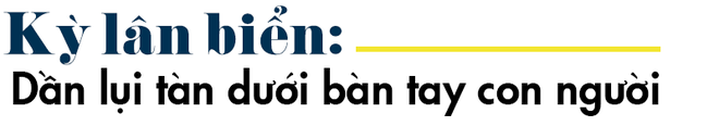 Bí mật chiếc ngà đắt hơn vàng của kỳ lân biển: Báu vật bị săn lùng nhiều bậc nhất châu Âu - Ảnh 5.