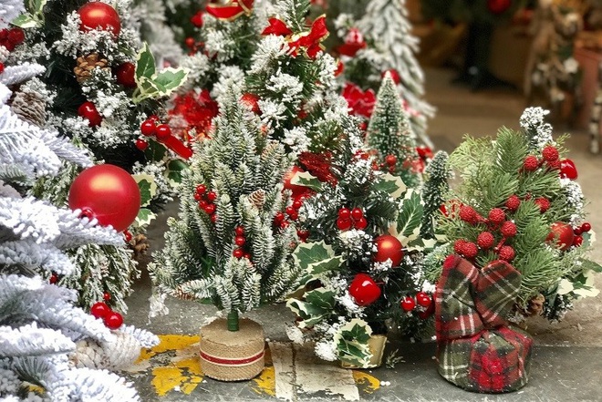 Hà Nội xuất hiện nhiều cây thông siêu to khổng lồ đón Noel 2019 - Ảnh 5.