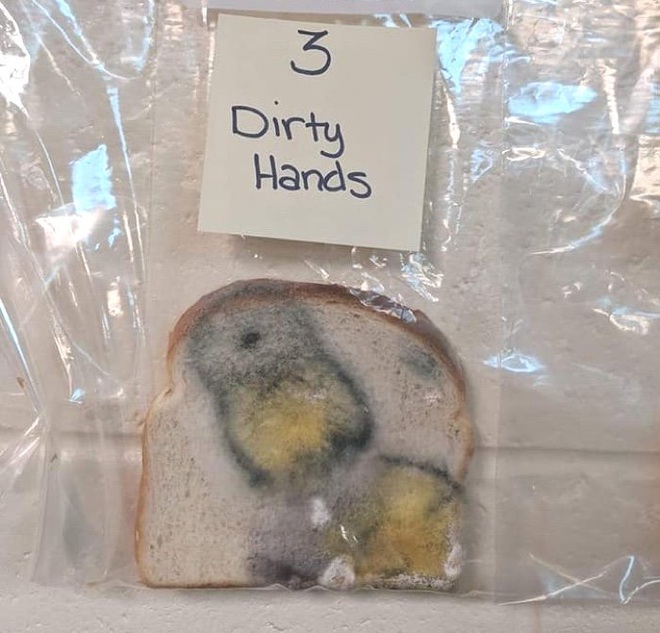 Thí nghiệm đơn giản với bánh mì giải thích vì sao chúng ta cần rửa tay trước khi ăn - Ảnh 3.