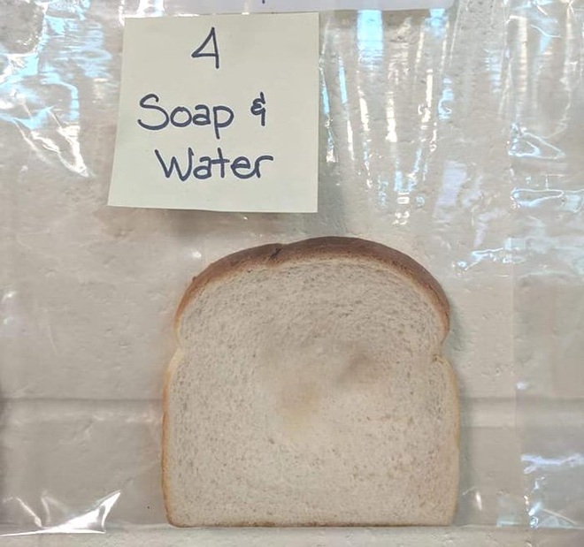 Thí nghiệm đơn giản với bánh mì giải thích vì sao chúng ta cần rửa tay trước khi ăn - Ảnh 4.