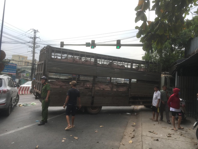 Xe tải chở 50 con heo tông vào nhà dân, giao thông kẹt cứng 2km - Ảnh 1.