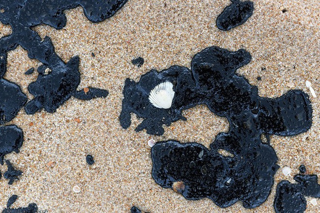 4.400 km bờ biển Brazil chết tức tưởi vì thủy triều đen bí ẩn - Ảnh 2.
