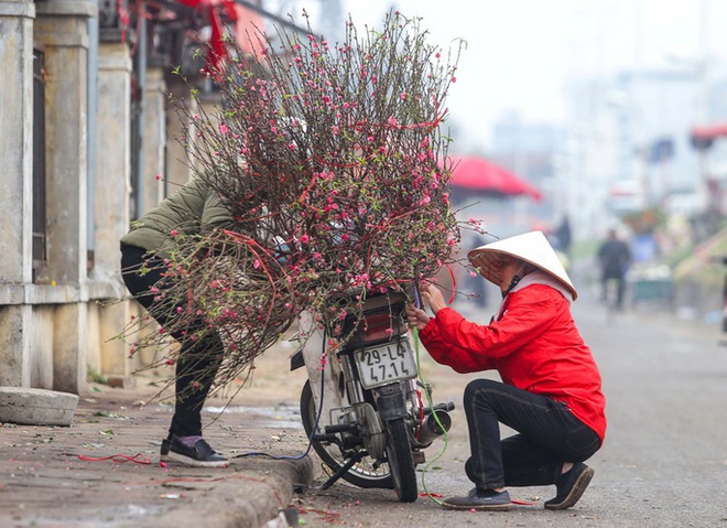 Đào Nhật Tân nở sớm, nhiều tuyến phố Hà Nội ngập tràn sắc xuân - Ảnh 7.