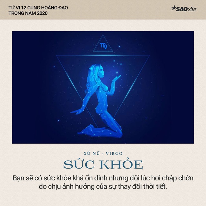 Xem tử vi cung Xử Nữ năm 2020: Sự nghiệp thăng hoa rực rỡ, chuyện tình cảm bình ổn và cần nhiều bứt phá - Ảnh 4.