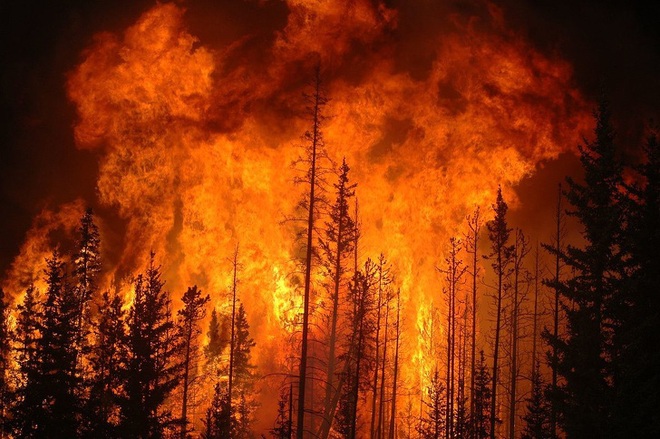 Thế giới sẽ đối mặt với hàng loạt thảm họa nếu rừng Amazon cháy rụi: 90% bệnh tật không có thuốc chữa, 50% loài sinh vật bị tiêu diệt - Ảnh 4.