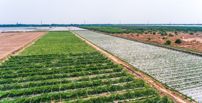 Con át chủ bài trong thương vụ bom tấn của Vingroup và Masan - Ảnh 3.