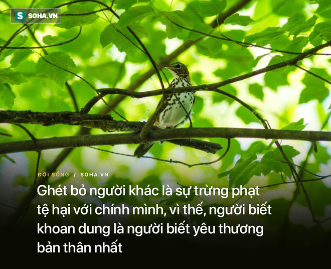 Trò hỏi thầy tại sao yêu 1 đằng cưới 1 nẻo, thầy chỉ ra sai lầm nhiều người hay mắc phải - Ảnh 4.