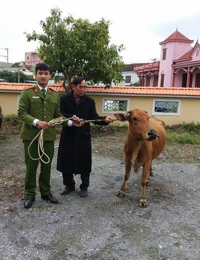 Bắt quả tang cặp nam nữ chuyên đi trộm trâu, bò ở Quảng Bình - Ảnh 2.