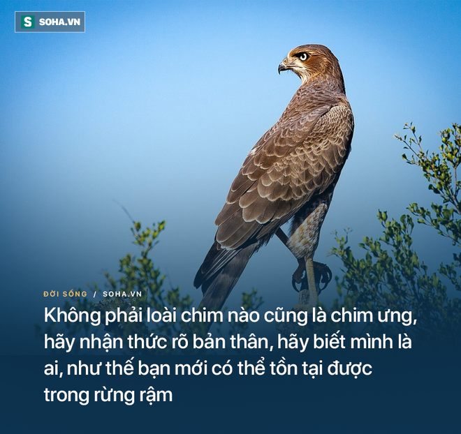 Đình công không kéo cối xay, vừa được thả xuống núi, con lừa lãnh ngay hậu quả: Đủ đau để thức tỉnh nhiều người! - Ảnh 3.