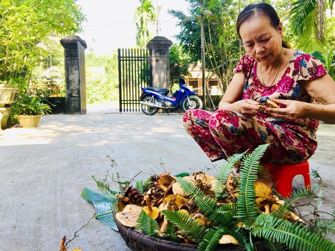 Đầu đông nhổ nấm thông rằng - Ảnh 9.