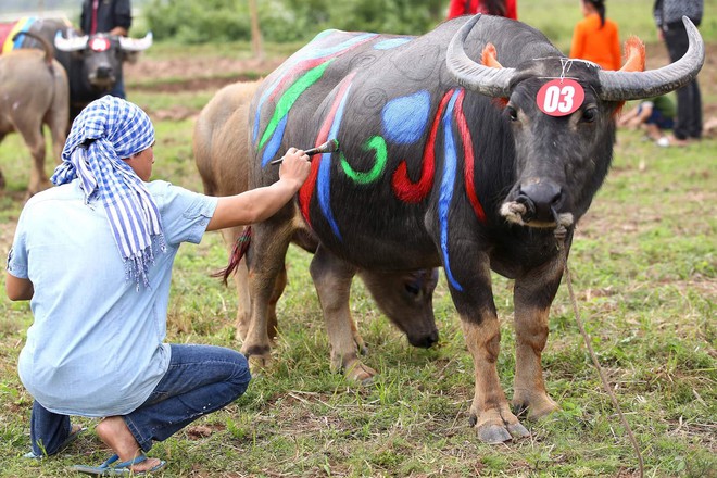 Biển người chen chân dưới nắng nóng ở chùa Hương, dân đứng kín đường ném lì xì cho ông lợn  - Ảnh 12.