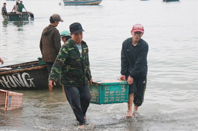 Ngư dân Đà Nẵng trúng mùa ruốc đầu năm, thu nhập bạc triệu mỗi ngày - Ảnh 1.