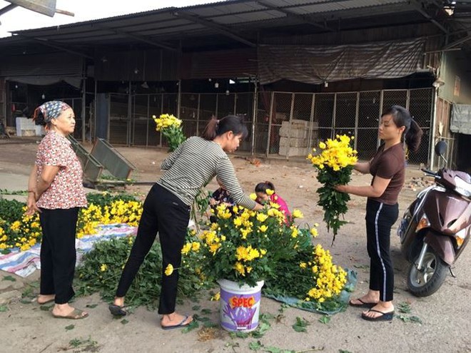 Rau xanh, hoa tươi ở Hà Nội rớt giá thê thảm sau Tết - Ảnh 1.