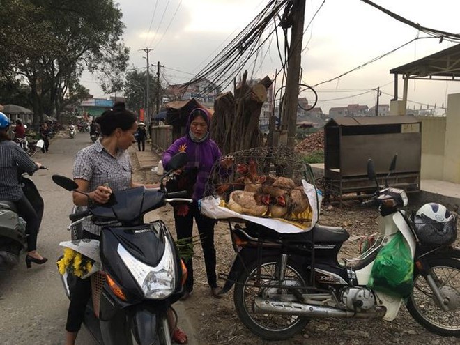 Rau xanh, hoa tươi ở Hà Nội rớt giá thê thảm sau Tết - Ảnh 2.