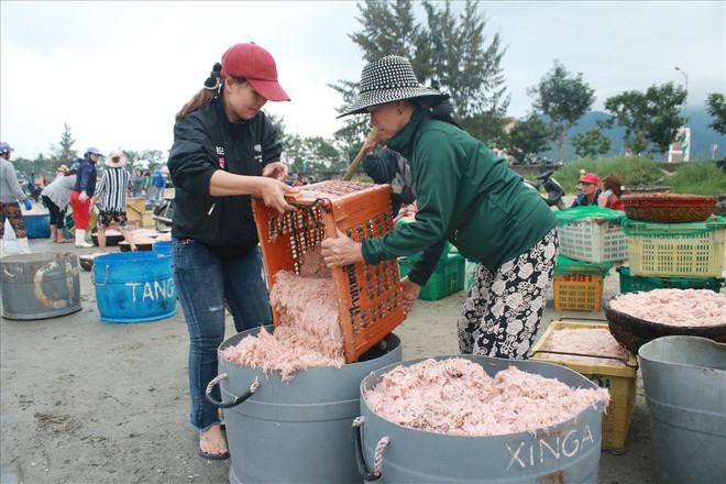 Ngư dân Đà Nẵng trúng mùa ruốc đầu năm, thu nhập bạc triệu mỗi ngày - Ảnh 3.