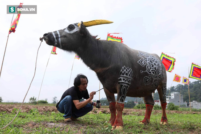 Phó Thủ tướng mặc áo nâu xuống ruộng dắt trâu đi cày ở lễ hội Tịch Điền - Ảnh 4.