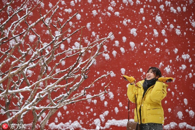 24h qua ảnh: Cô gái chụp ảnh dưới mưa tuyết trước Tử Cấm Thành - Ảnh 3.