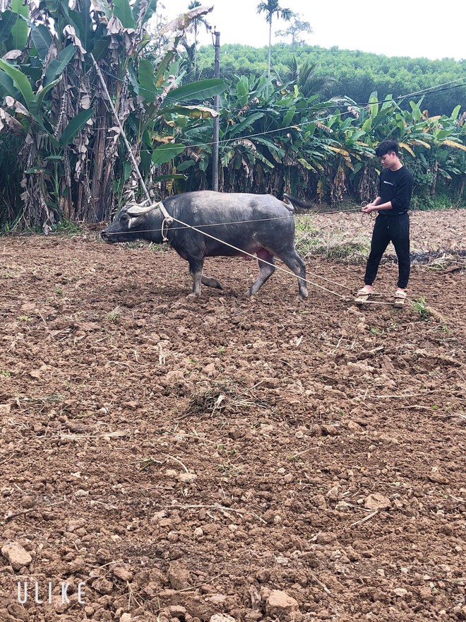 Dân mạng khoe ảnh đi làm đồng ngày Tết: Con nhà nông thì sao, giúp được bố mẹ là hạnh phúc rồi! - Ảnh 7.