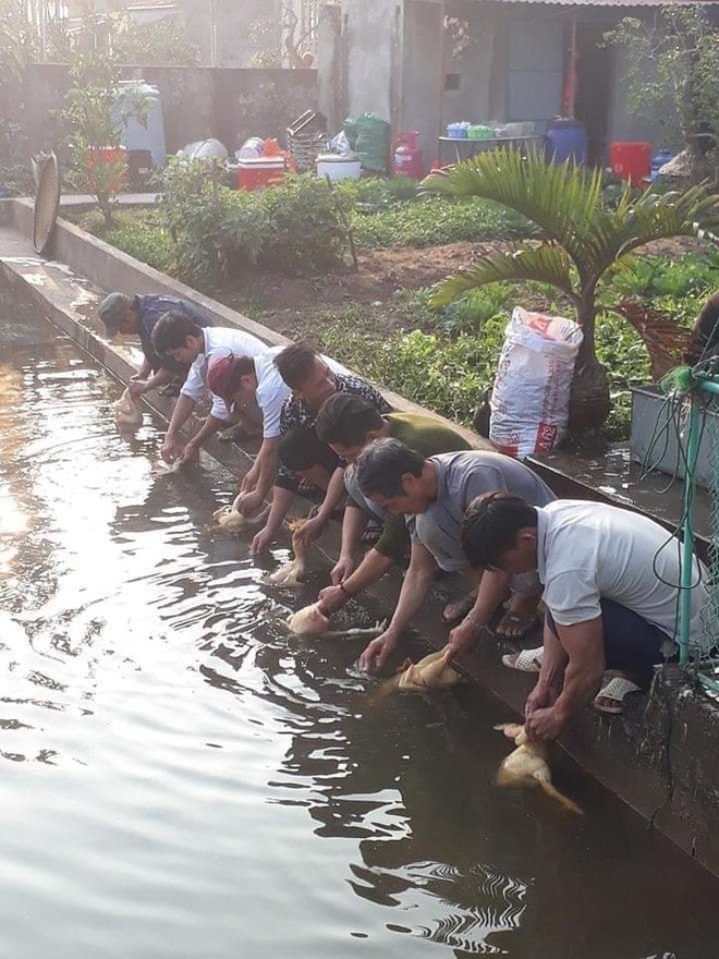 7 người đàn ông làm chung một việc lạ - hình ảnh gây chú ý ngày cuối tuần - Ảnh 1.