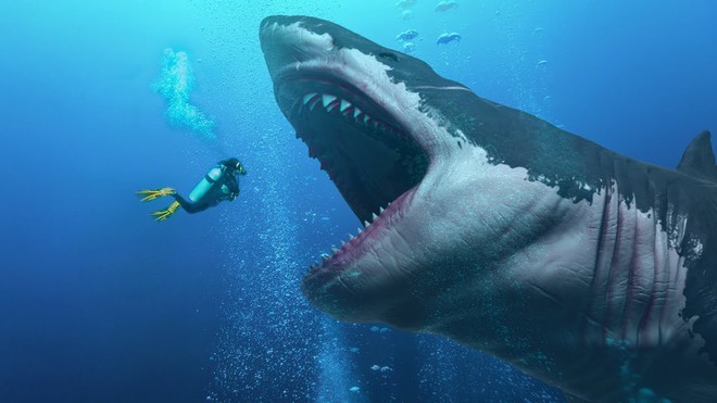 Sinh vật đã từng giết chết siêu quái vật Megalodon có thể đang tồn tại ngay lúc này - Ảnh 1.