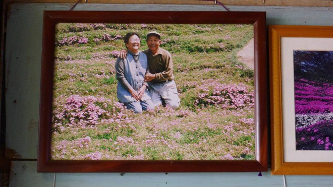 Người đàn ông Nhật Bản dành trọn tình yêu để trồng đồi hoa trước nhà suốt 4 năm để tặng vợ mù lòa - Ảnh 11.