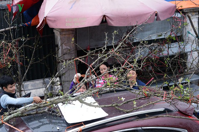 Ngỡ ngàng sắc hoa lê trắng tinh khôi trên đường phố Hà Nội - Ảnh 16.
