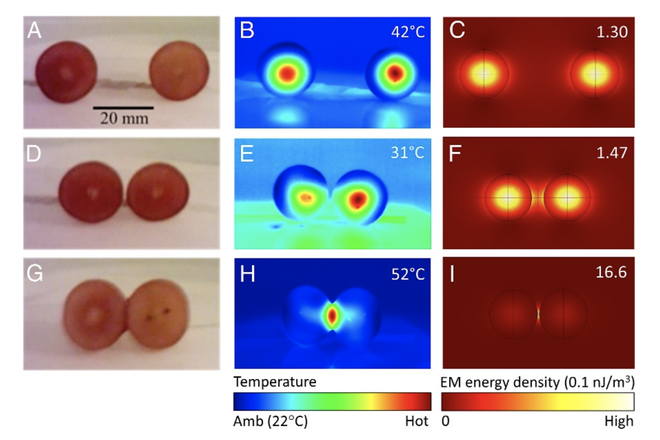 Hiện tượng bí ẩn khi cho 2 quả nho vào lò vi sóng và cuối cùng khoa học cũng giải mã thành công - Ảnh 1.