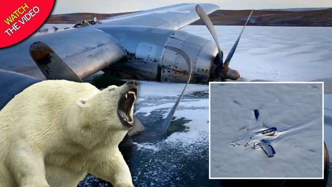 NASA: Máy bay bí ẩn rơi ở Bắc Cực, nhưng “số phận” của người sống sót còn đáng sợ hơn - Ảnh 2.