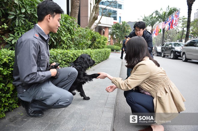 [ẢNH] Cảnh khuyển đặc biệt của Việt Nam rà soát chất nổ ở Melia, thân thiện hết cỡ với du khách - Ảnh 9.