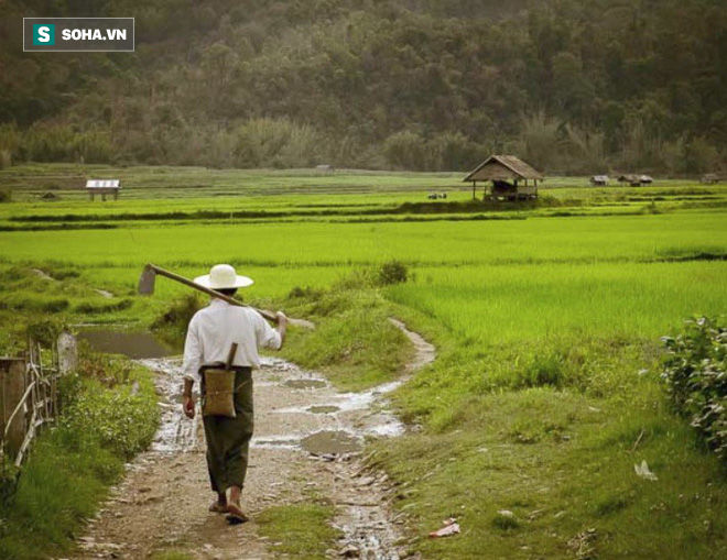 Đi làm xa về, chồng thấy vợ âu yếm trai trẻ và quyết định lạ đời đem đến cho ông tất cả - Ảnh 1.