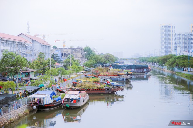 Ngắm nhìn chợ hoa lớn nhất Sài Gòn tấp nập thuyền bè ngày cuối năm - Ảnh 1.