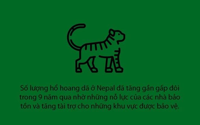 Những tin tốt năm 2018 trên thế giới khiến bạn lạc quan vào cuộc sống - Ảnh 11.