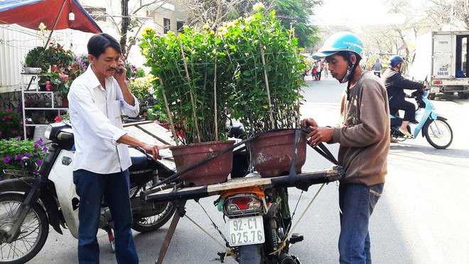 Phố cổ Hội An nhộn nhịp ngày cuối năm - Ảnh 3.