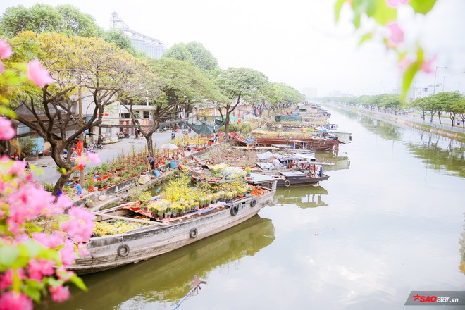 Ngắm nhìn chợ hoa lớn nhất Sài Gòn tấp nập thuyền bè ngày cuối năm - Ảnh 3.