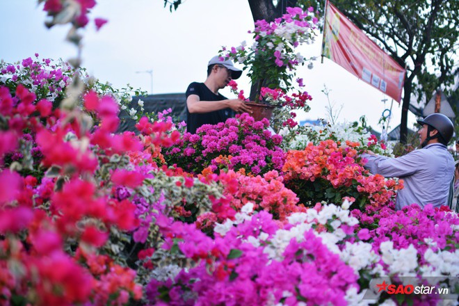 Ngắm nhìn chợ hoa lớn nhất Sài Gòn tấp nập thuyền bè ngày cuối năm - Ảnh 7.
