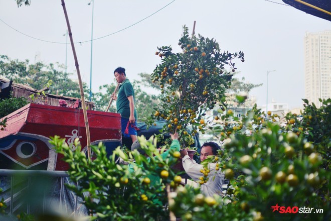 Ngắm nhìn chợ hoa lớn nhất Sài Gòn tấp nập thuyền bè ngày cuối năm - Ảnh 8.