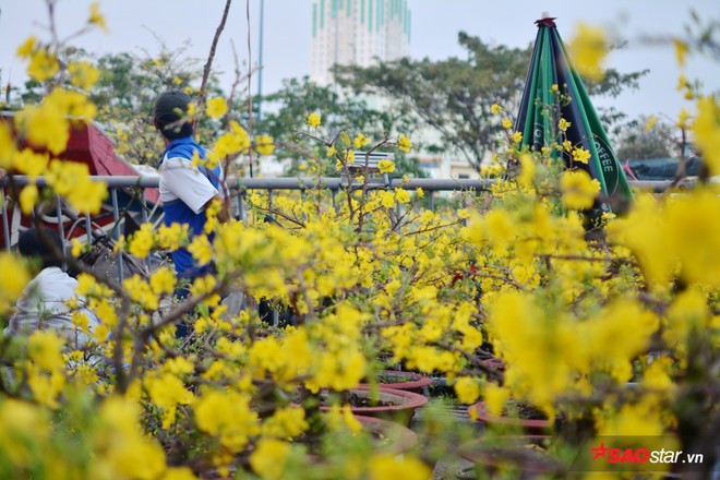 Ngắm nhìn chợ hoa lớn nhất Sài Gòn tấp nập thuyền bè ngày cuối năm - Ảnh 9.