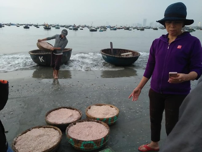 Ngư dân Đà Nẵng trúng đậm ruốc, hưởng lộc biển ngày cuối năm - Ảnh 3.