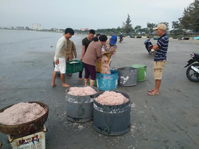 Ngư dân Đà Nẵng trúng đậm ruốc, hưởng lộc biển ngày cuối năm - Ảnh 4.