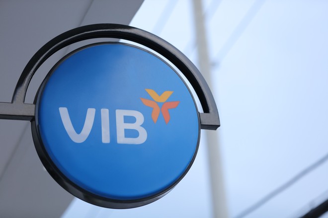 VIB đặt mục tiêu tăng 24% lợi nhuận trong năm 2019 - Ảnh 2.