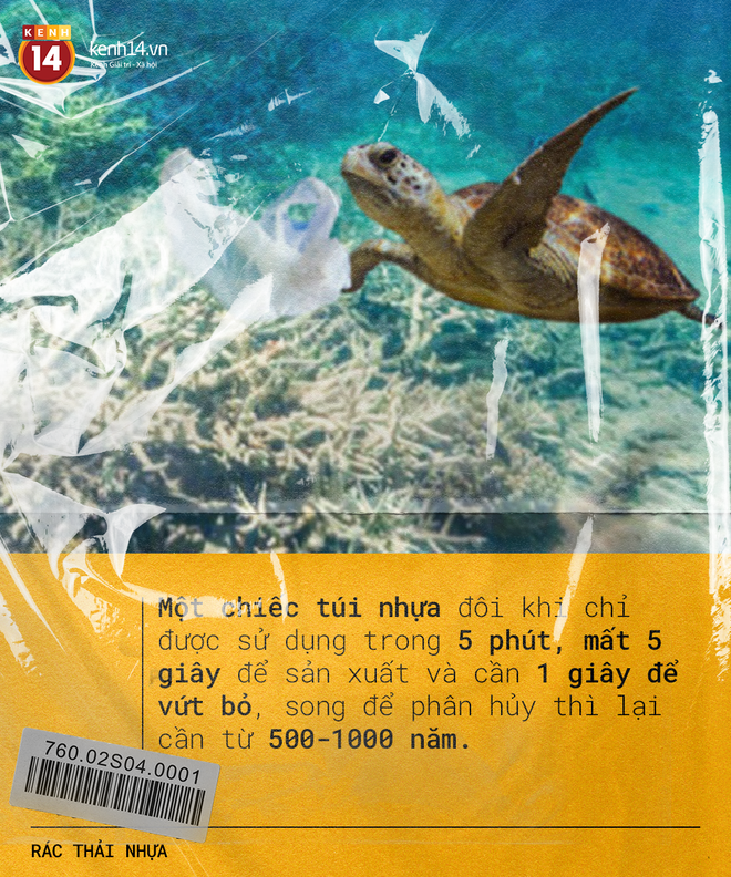 Rác thải nhựa: Thứ chúng ta chỉ dùng vài phút ngắn ngủi nhưng lại là bi kịch nghìn năm của mọi sinh vật biển - Ảnh 15.