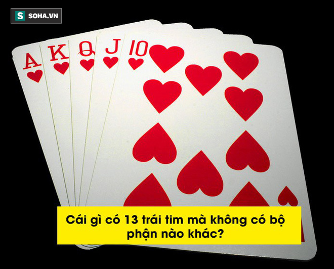 Những câu đố làm khó cả người lớn (P2): Loại áo nào chỉ mặc được lúc ướt? - Ảnh 2.