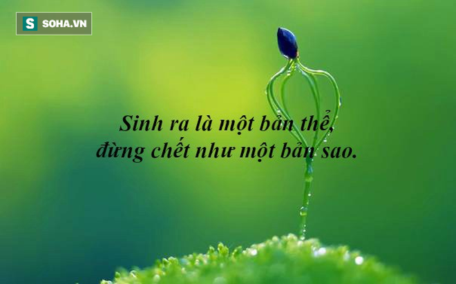 Thỏ ăn thịt sói ra sao? Câu chuyện giúp bạn có thể tìm ra mấu chốt bứt phá trước đối thủ - Ảnh 6.