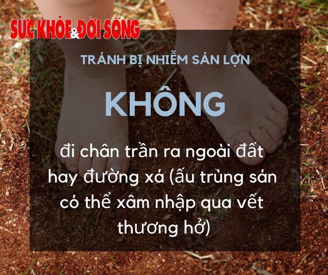 Làm thế nào để phòng tránh nhiễm ấu trùng sán lợn? - Ảnh 7.