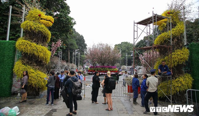 Ảnh: 40.000 cành hoa anh đào chuyển từ Nhật Bản tới Hà Nội - Ảnh 1.